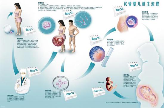 胚胎质量越差，胎儿流产的机会越大