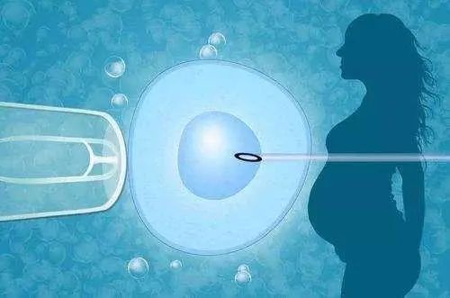 综合分析做借卵供卵自怀机构微刺激方案成功率，取卵多并不代表高