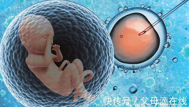 做赠卵试管代生价格生双胞胎好吗？