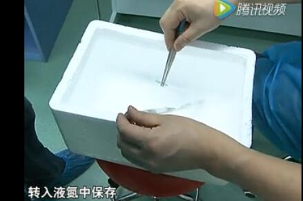 注射促排卵针后多久能排卵做赠卵借卵试管供卵才算晚!个人经验告诉你。赠卵试管哪里自怀并不可怕