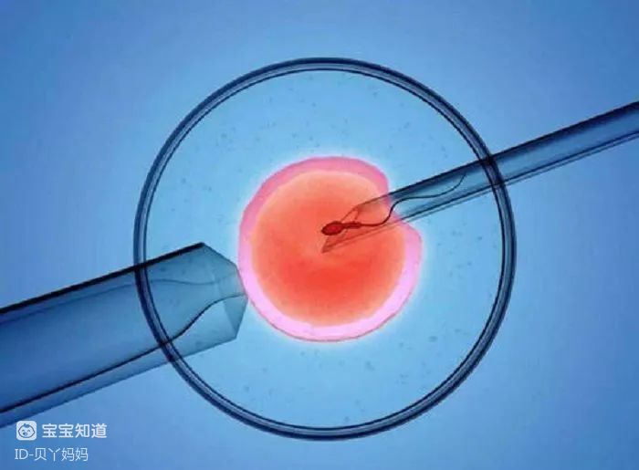 北京做供卵试管婴儿哪家医院好