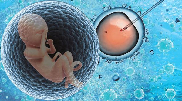 北京代怀生子代怀机构需要多钱+北京试管代怀的前期费用技术可以吗