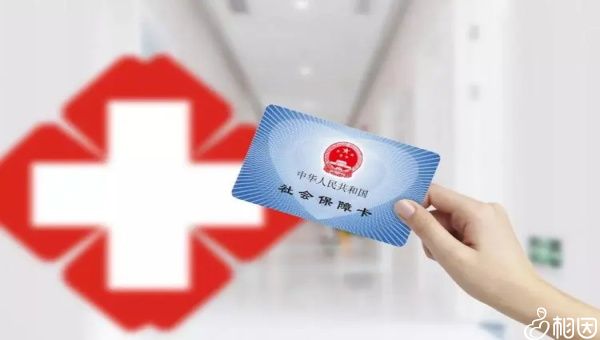 卵巢早衰试管代怀合法吗要赶时间吗+amh值多少为卵巢早衰